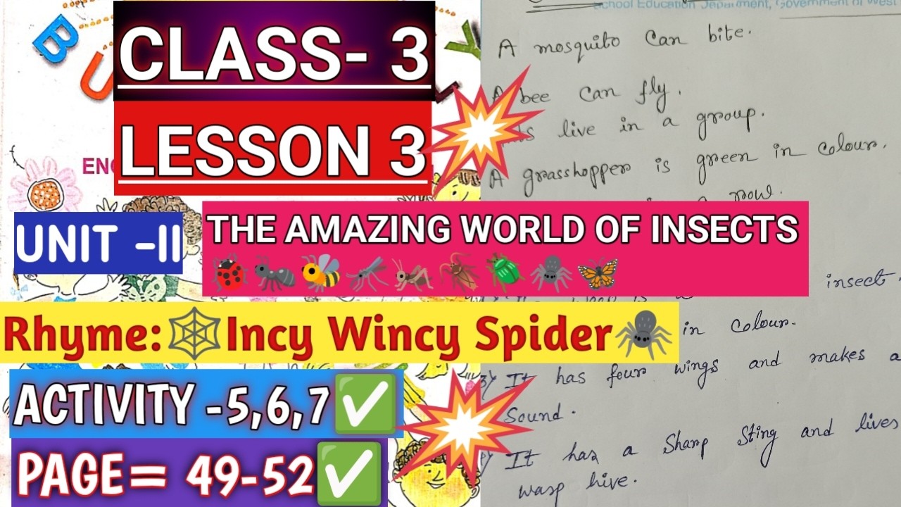 CLASS 3 BUTTERFLY /LESSON 3🎯/UNIT 2/THE AMAZING WORLD OF INSECTS/ACTIVITY 5,6,7/PAGE 49-52//ENGLISH