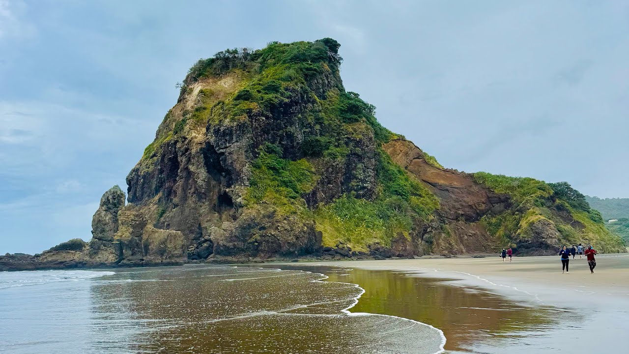 Piha Beach Tour 🏝️