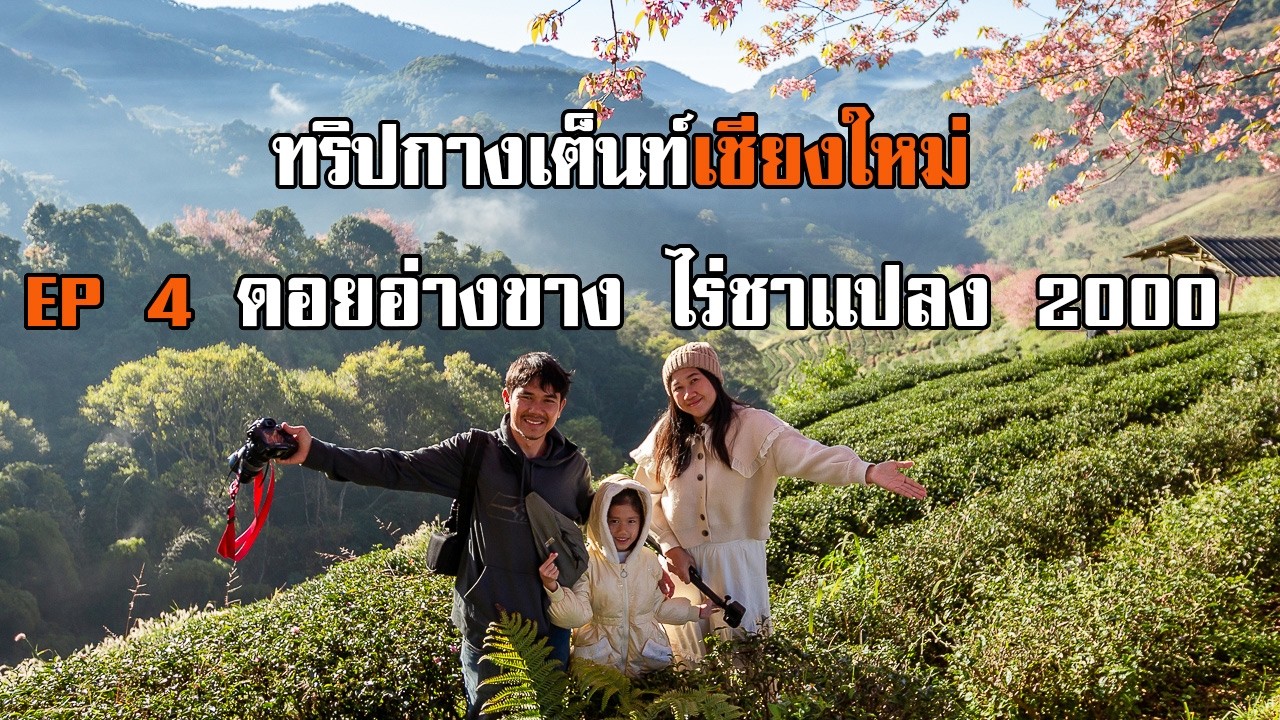 คนป่าพาไป ทริปกางเต็นท์ เที่ยวเชียงใหม่ EP 4 ดอยอ่างขาง ไร่ชาเเปลง2000