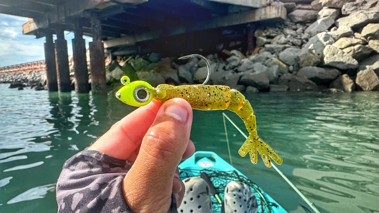 PESCA COM CAMARÃO ARTIFICIAL NO PÍER DO MAR!!! ROBALOS GIGANTES SE ESCONDEM AQUI.