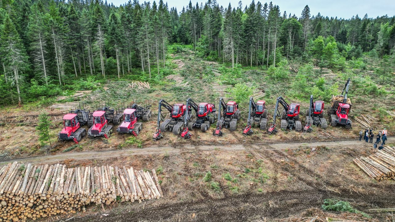 Démonstration Forestière par les entreprises de Yvan Labbé