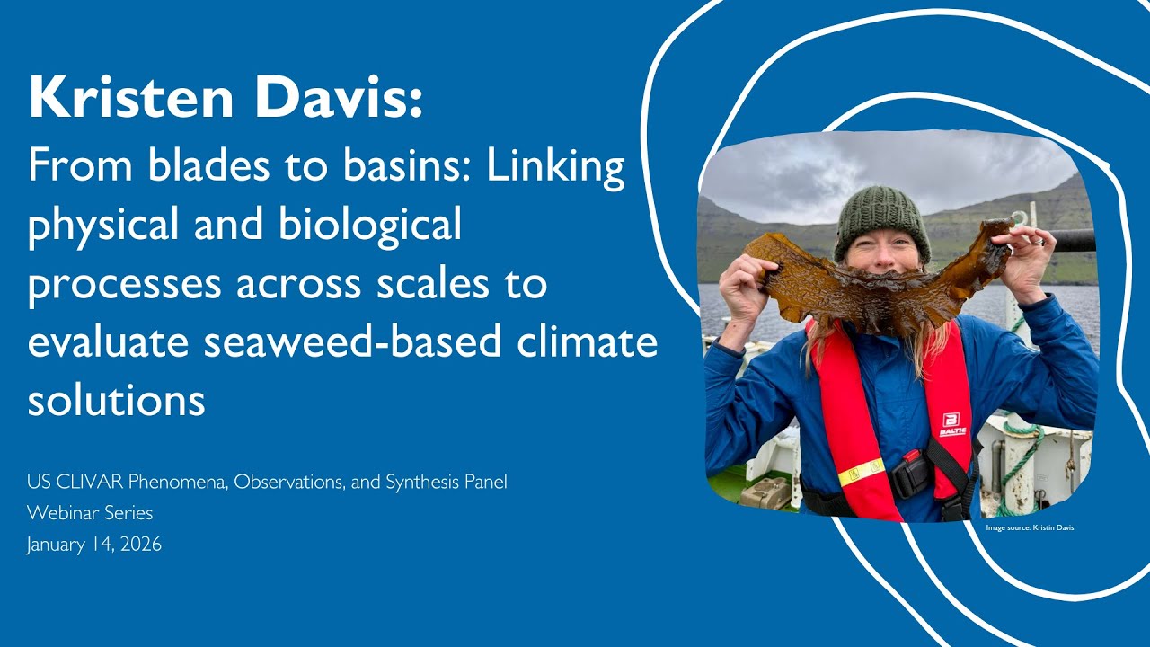 From blades to basins: Linking physical and biological processes across scales to evaluate seaweed