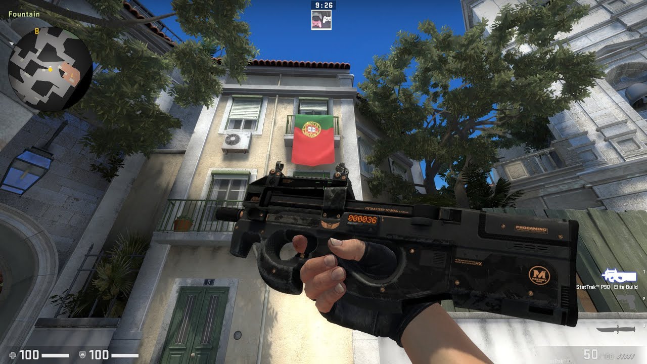 CSGO StatTrak™ P90 Elite Build Well Worn