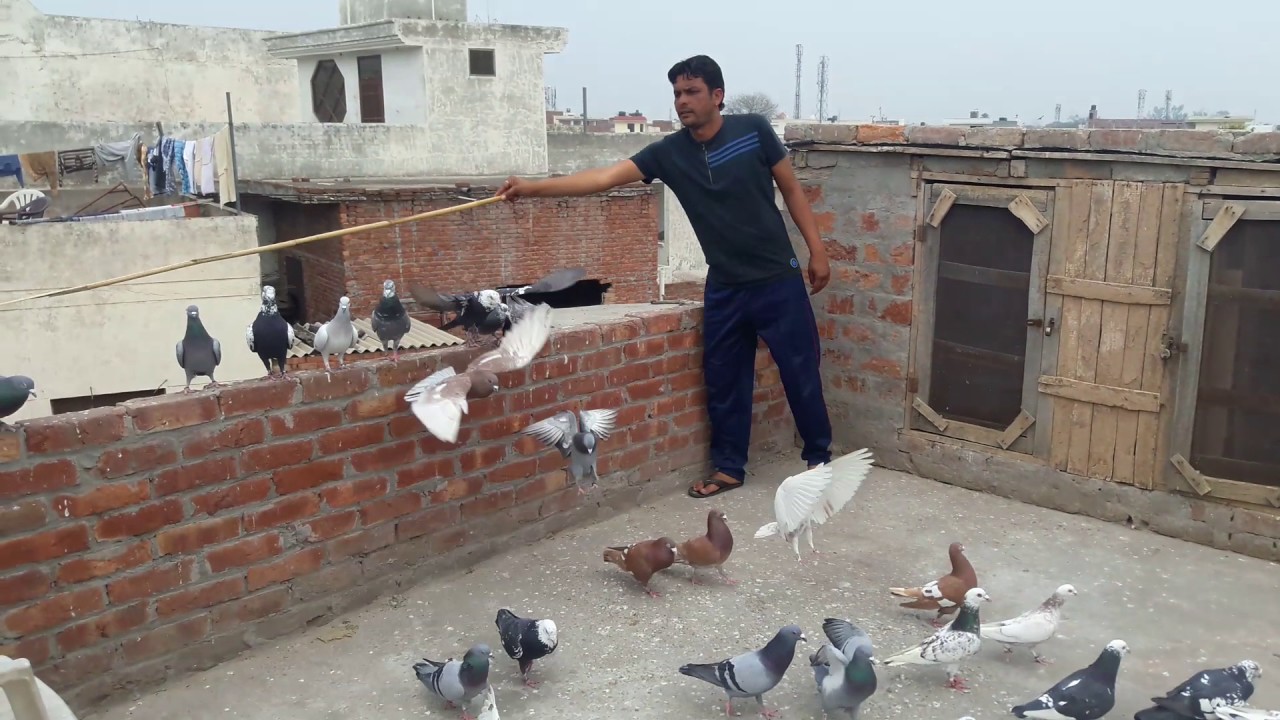 Jassa sonouri adda patiala(2)