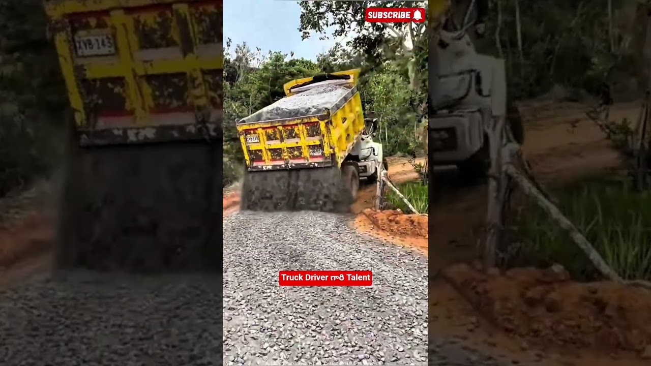 Truck Driver గారి Talent 