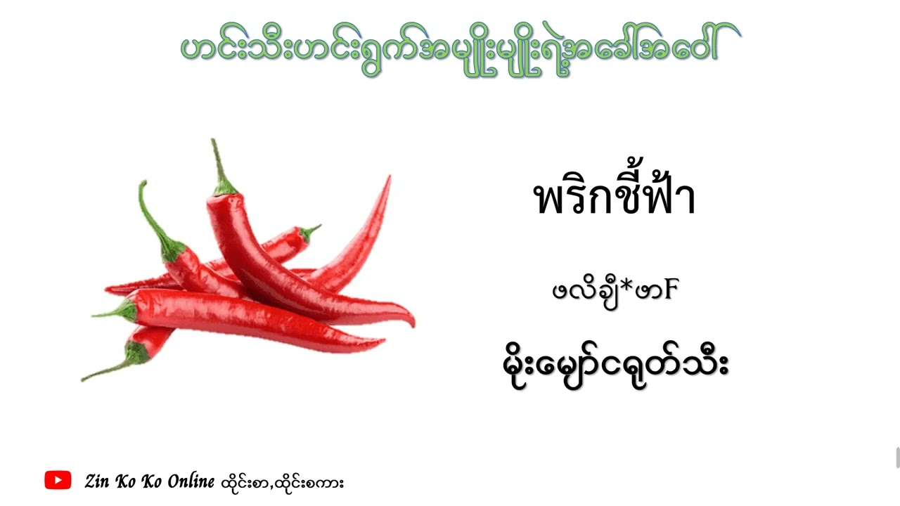 ထိုင်းဘာသာဟင်းသီးဟင်းရွက်အမျိုးမျိုးရဲ့အခေါ်အဝေါ် (83)မျိုး Part.4