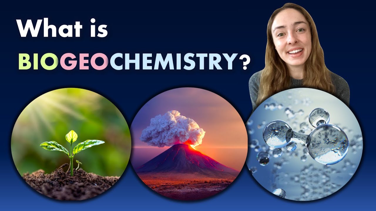 Biogeochemistry Basics Fundamental to Earth Science! GEO GIRL