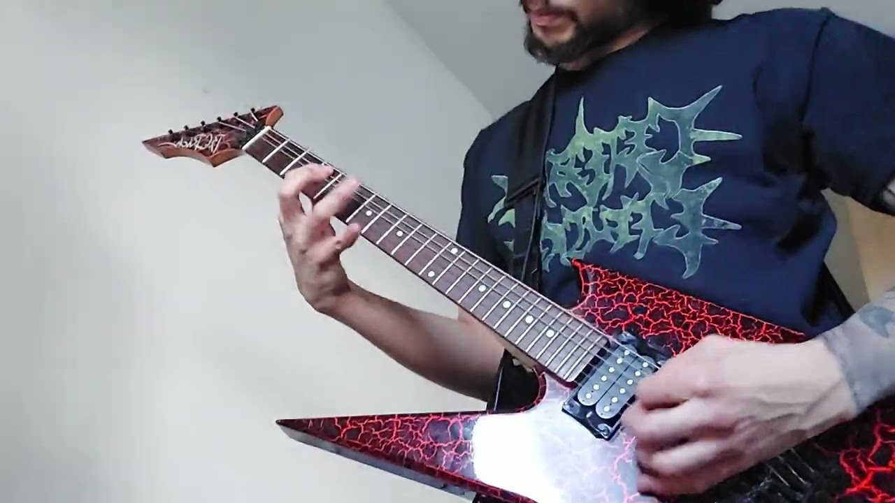 Defeated Sanity-Psalms of the Moribund (Guitar Cover)