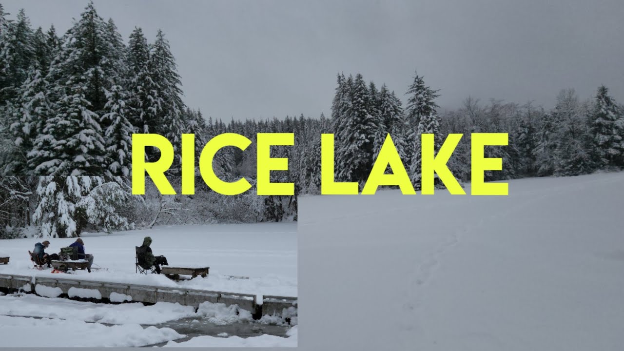 FROZEN RICE LAKE | NORTH VANCOUVER