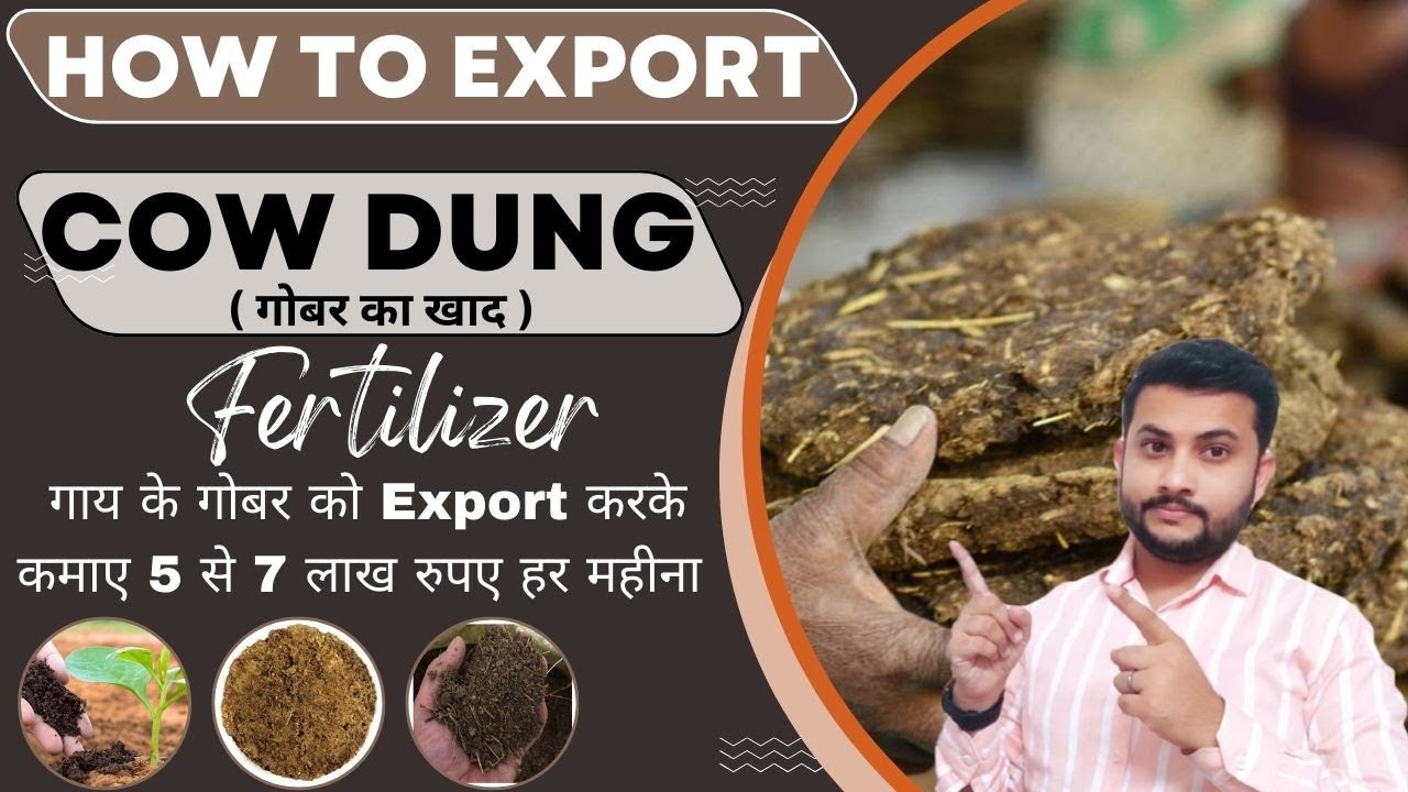 How To Export Cow Dung From India #cowdung #export #exportimportbusinessinindia