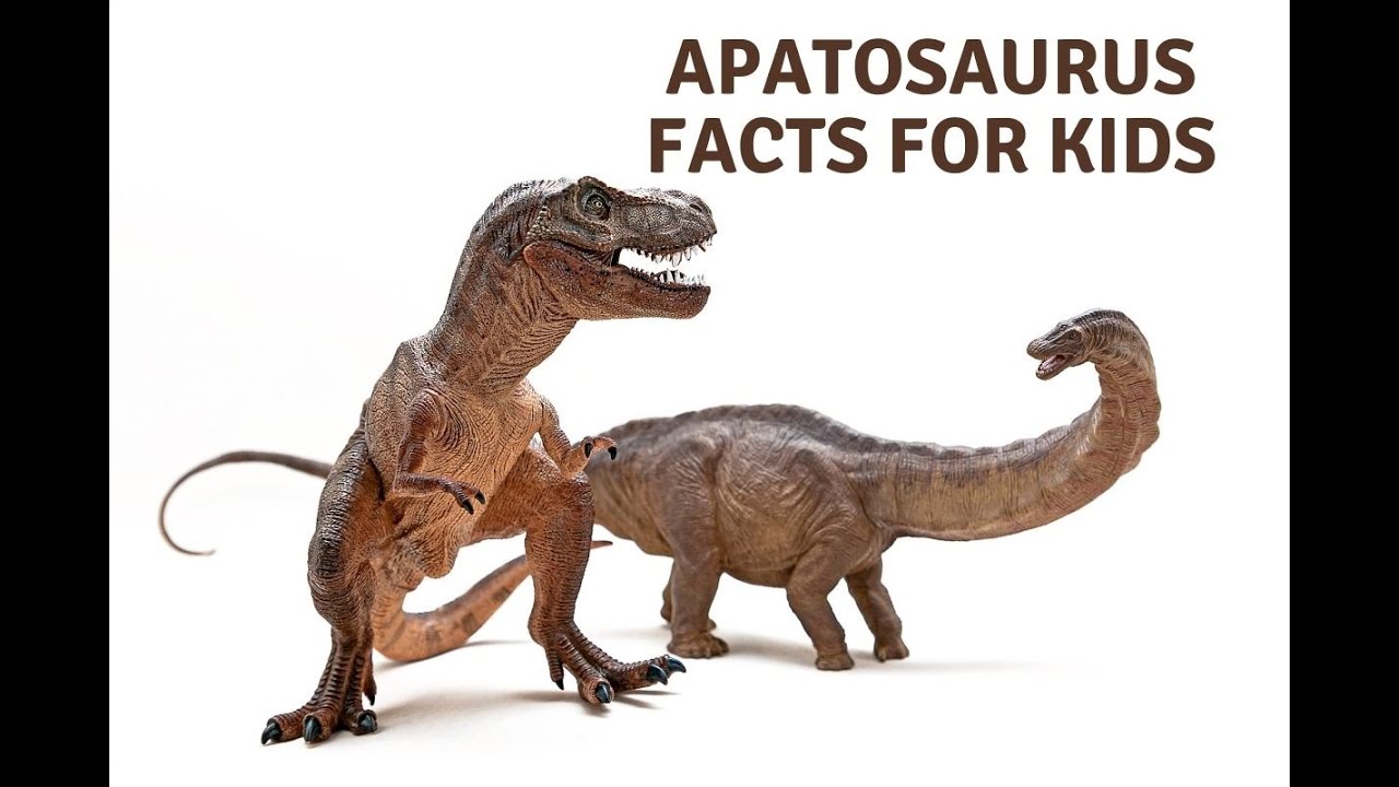 Apatosaurus Facts For Kids