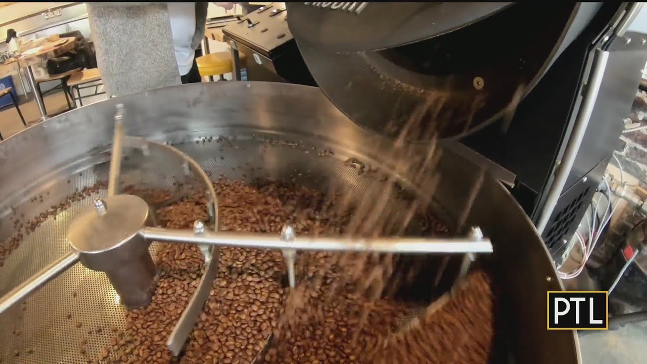 Mikey's Coffee Shop Tour