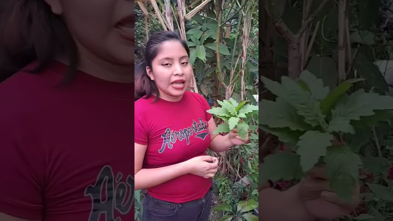 Tismole estilo Veracruz, Como hacer el tismole, comida facil pero con un sabor único.