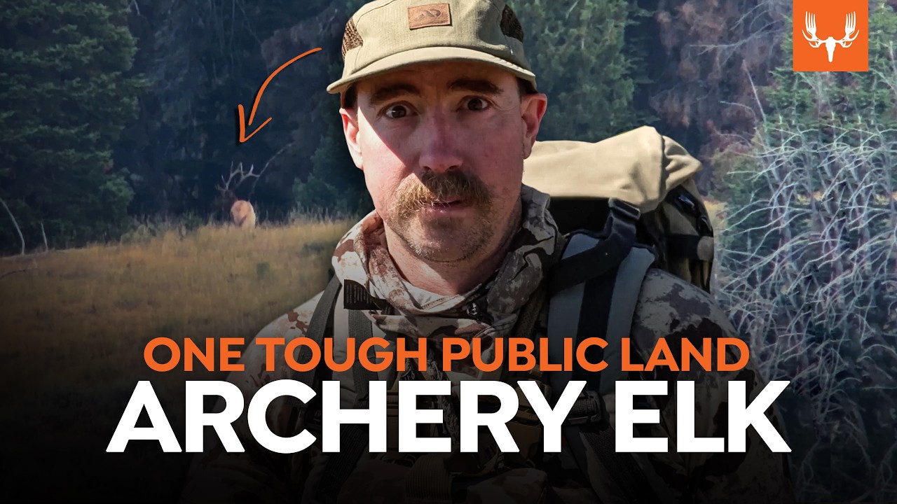 Public Land Elk Hunting with Ryan Callaghan | Cal In the Field