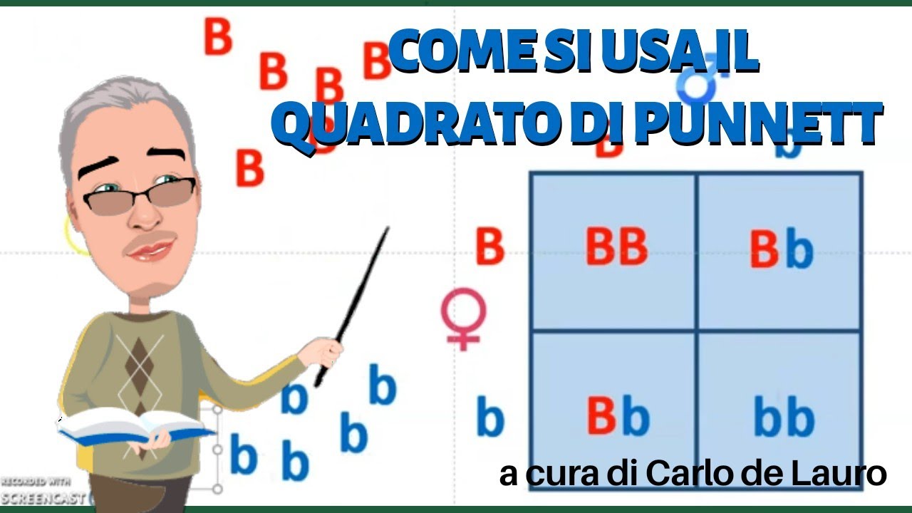 Come si usa il quadrato di Punnett