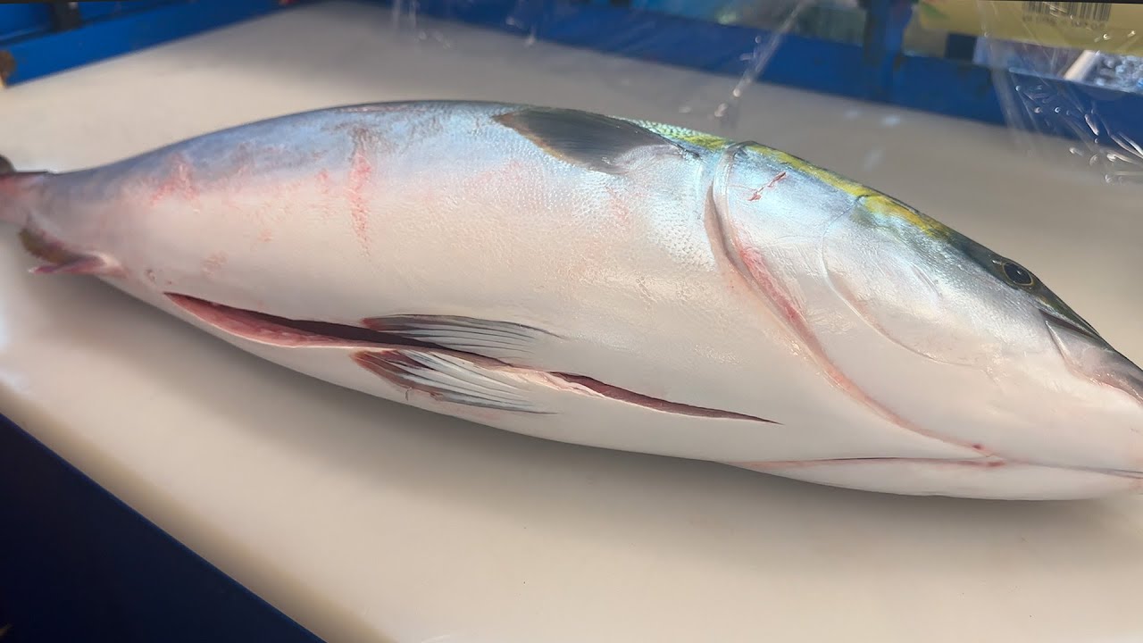15kg + 7kg 특 대방어 회뜨기, 8접시 꽉 채우는 대방어 회 | How to fillet a fish yellowtail /ブリ/ korean street food