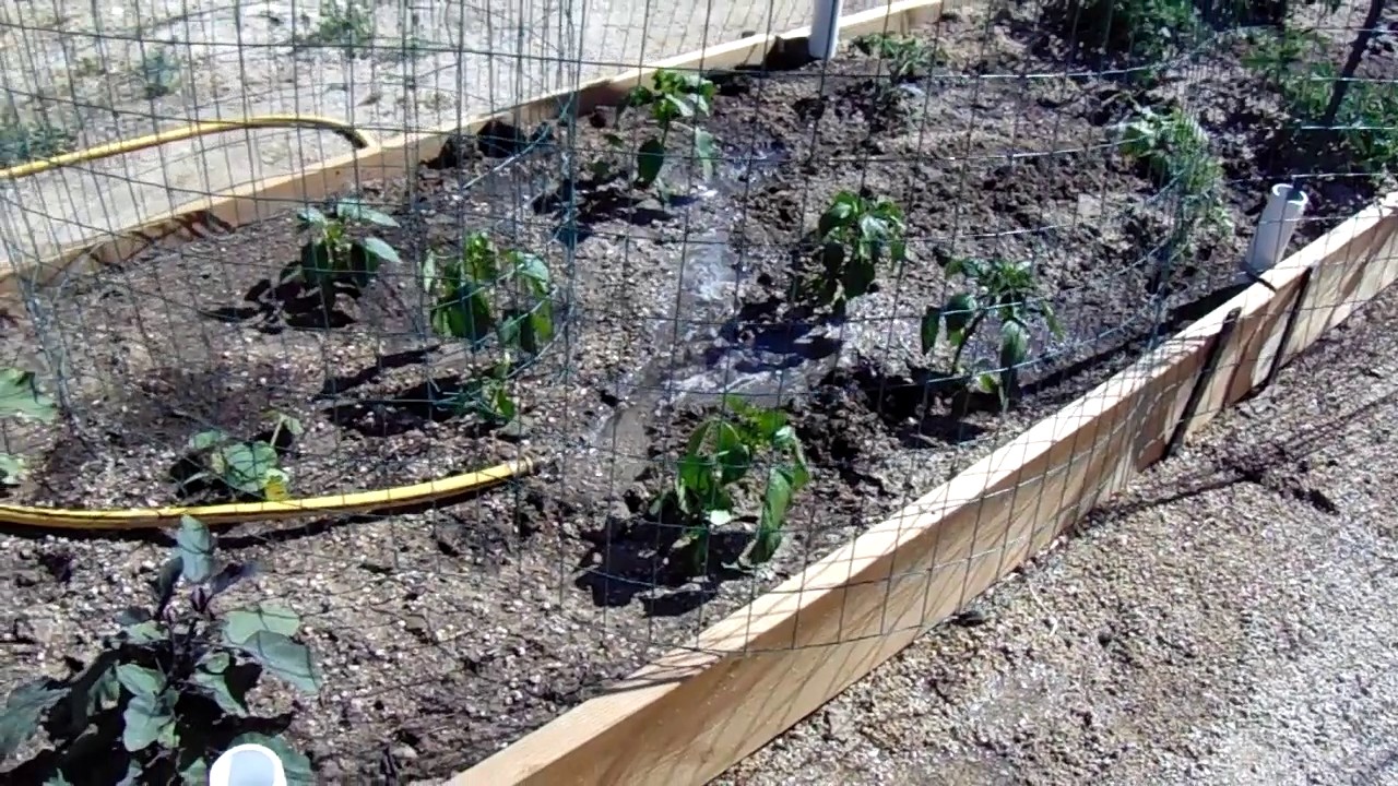 Decomposed Granite For Vegetable Gardening