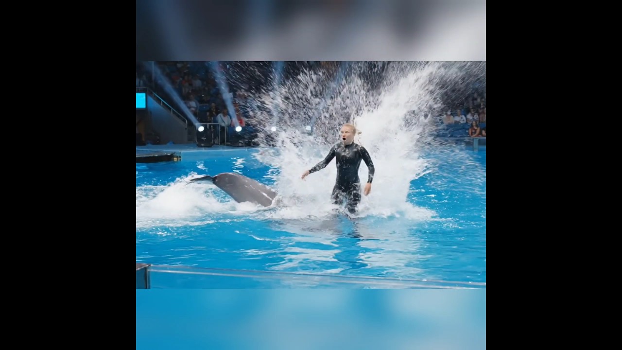 मिस्टर जेसिका डॉल्फिन अपलैंड मूवी 🐬
