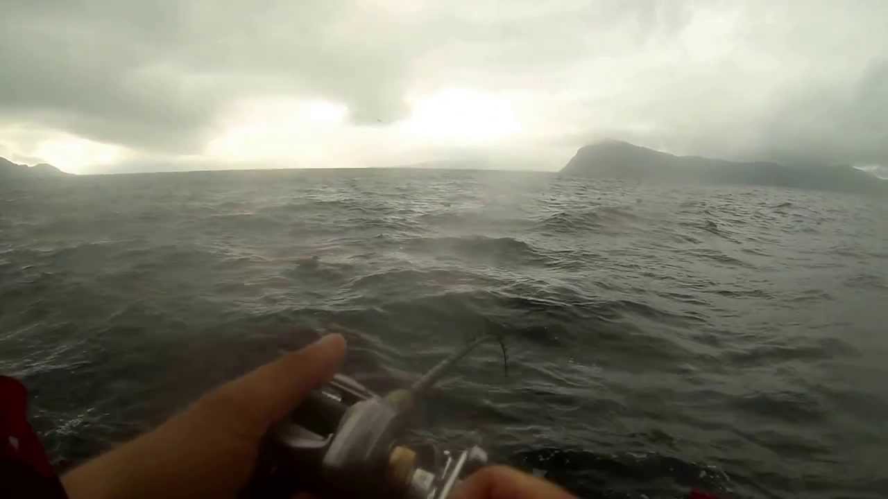 Fishing for Big Coalfish @ And&oslash;rja-Adventures