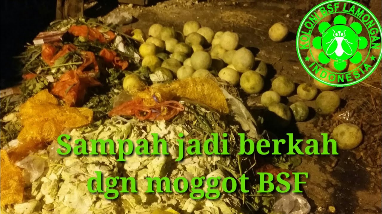 03.SAMPAH jadi BERKAH