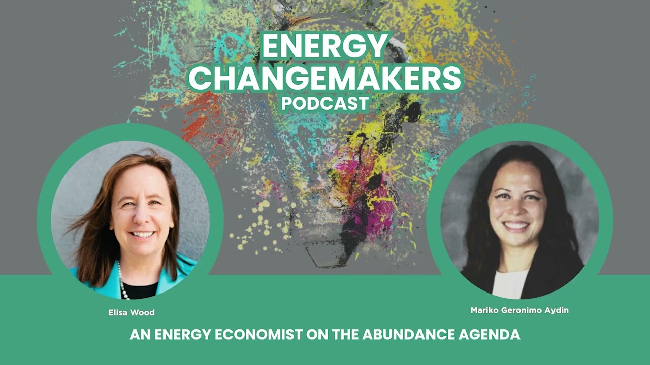 An Energy Economist on the Abundance Agenda