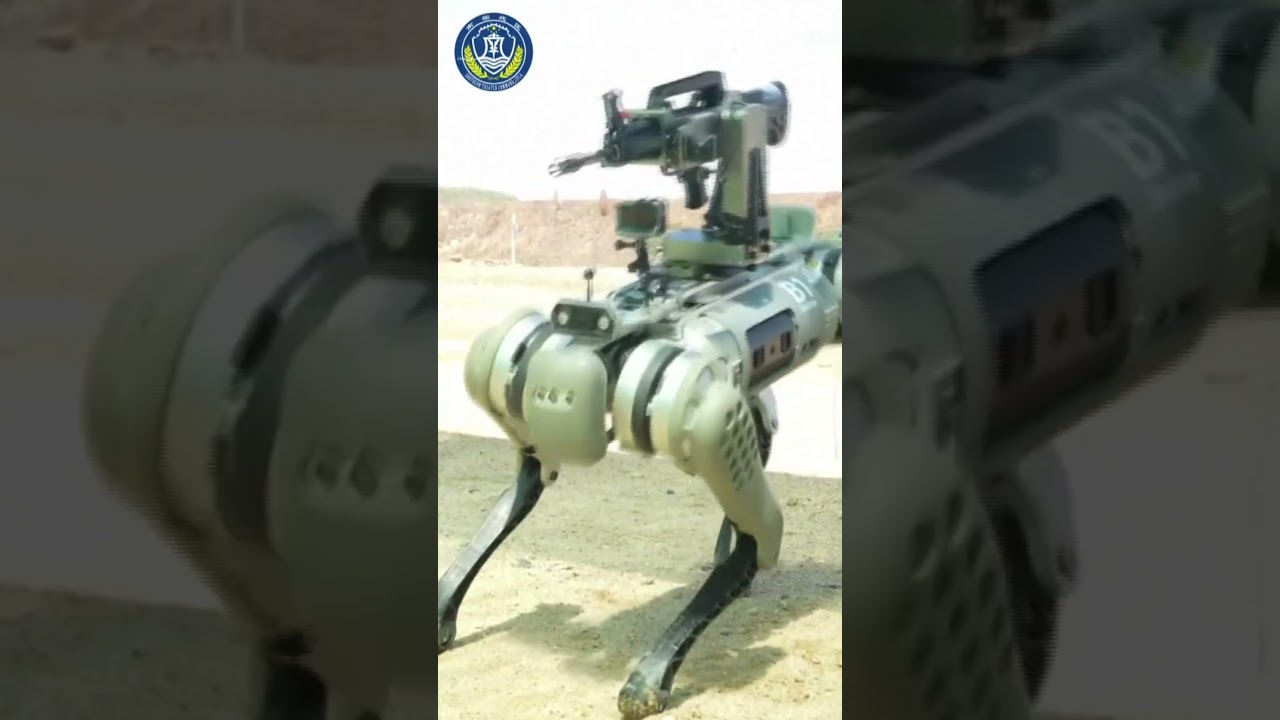 China&rsquo;s military unveils robot dogs armed with rifles
