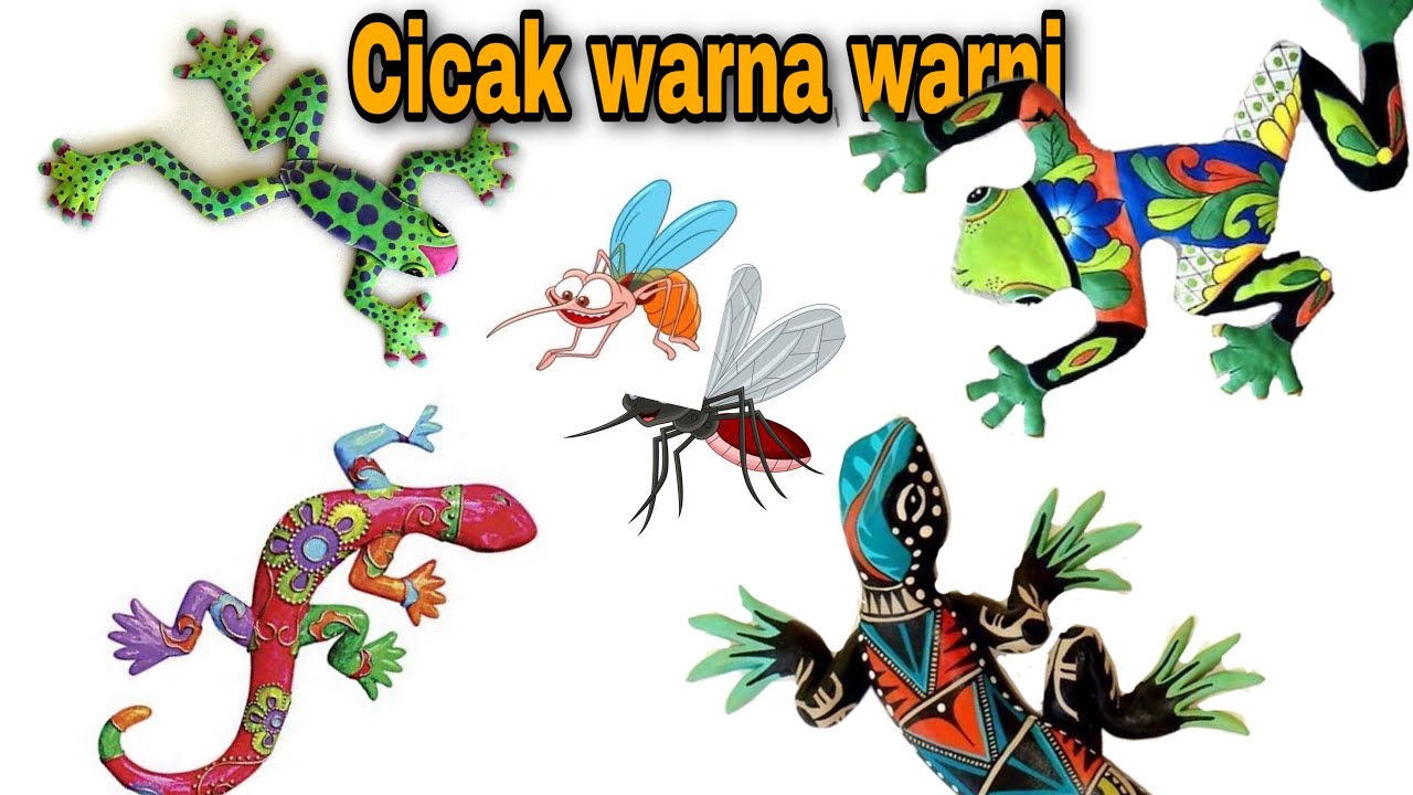 Cicak Cicak Di Dinding || Macam-Macam Cicak || Lagu Anak Anak Lucu Populer