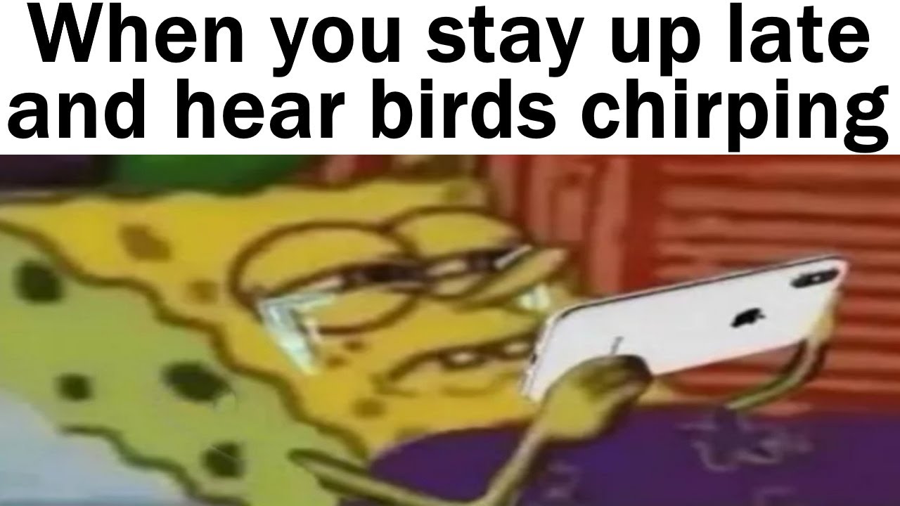 Relatable Memes From Your Life