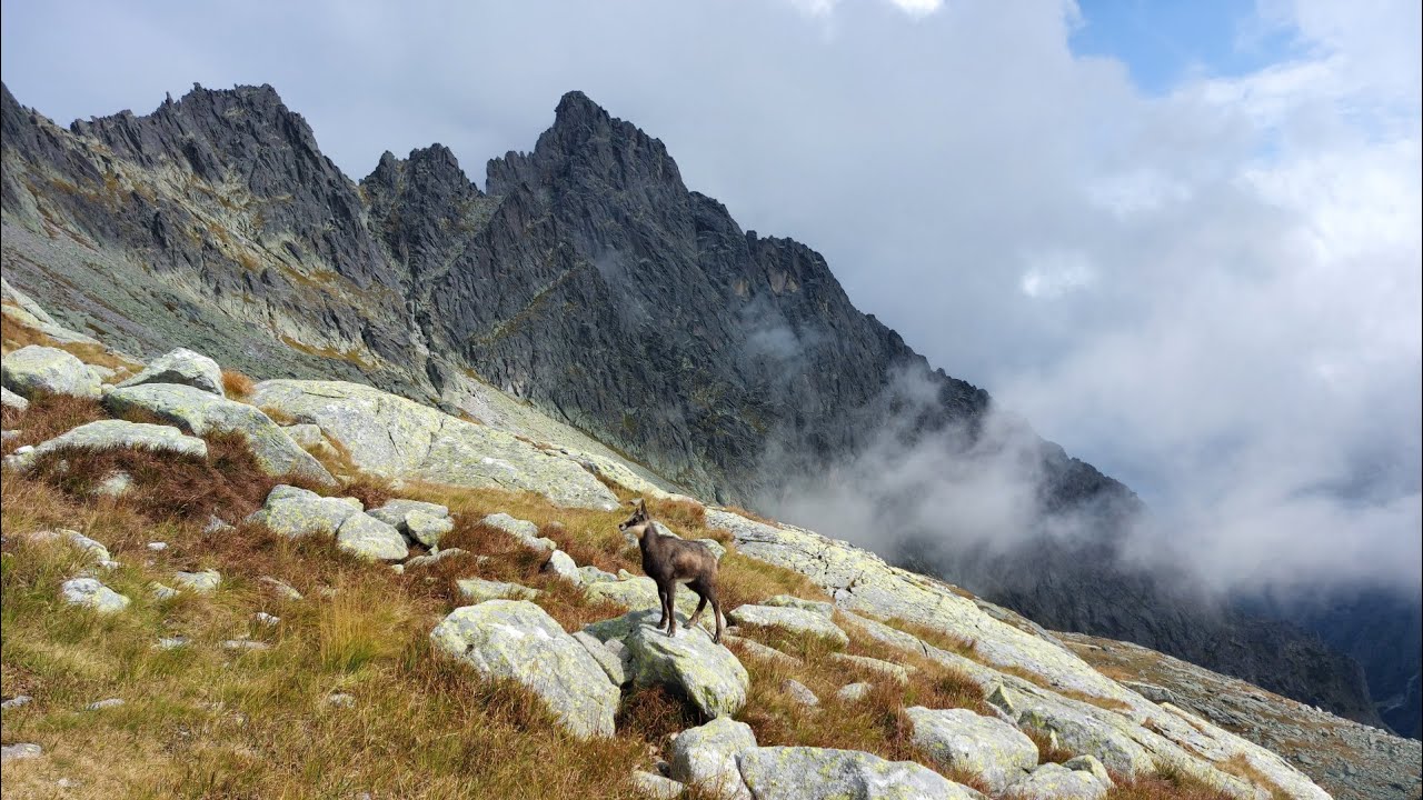 Czerwona Ławka i Mały Lodowy - Wysokie Tatry - Szczyty marzeń - 2025-09-13