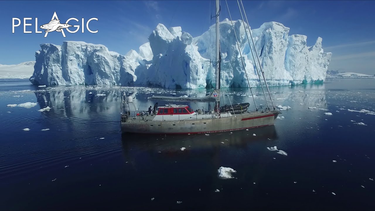 Pelagic Expeditions 2016-2017 Season Highlights Video