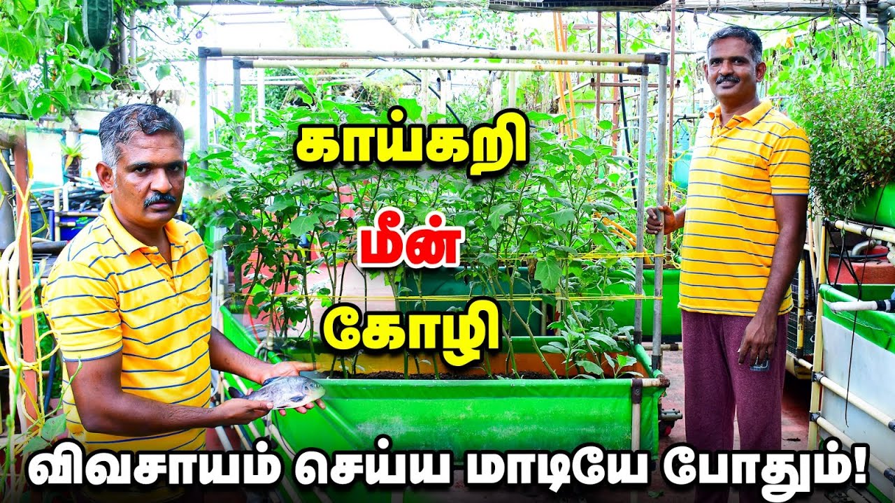 காய்கறி முதல் மீன் வளர்ப்பு வரை... அசத்தலான மாடித் தோட்டம் | Amazing Terrace Garden