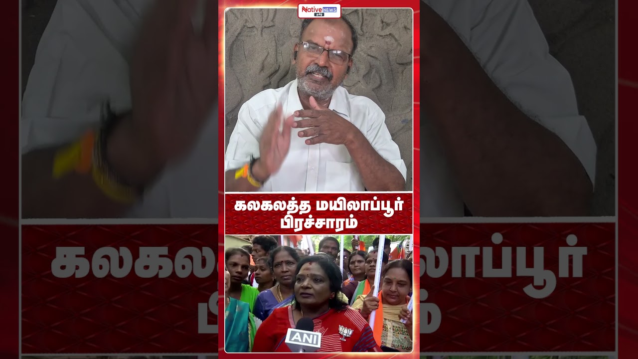 கலகலத்த மயிலாப்பூர் பிரச்சாரம் #tamilisaisoundararajan #annamalai #rangarajpandey #vanathisrinivasan