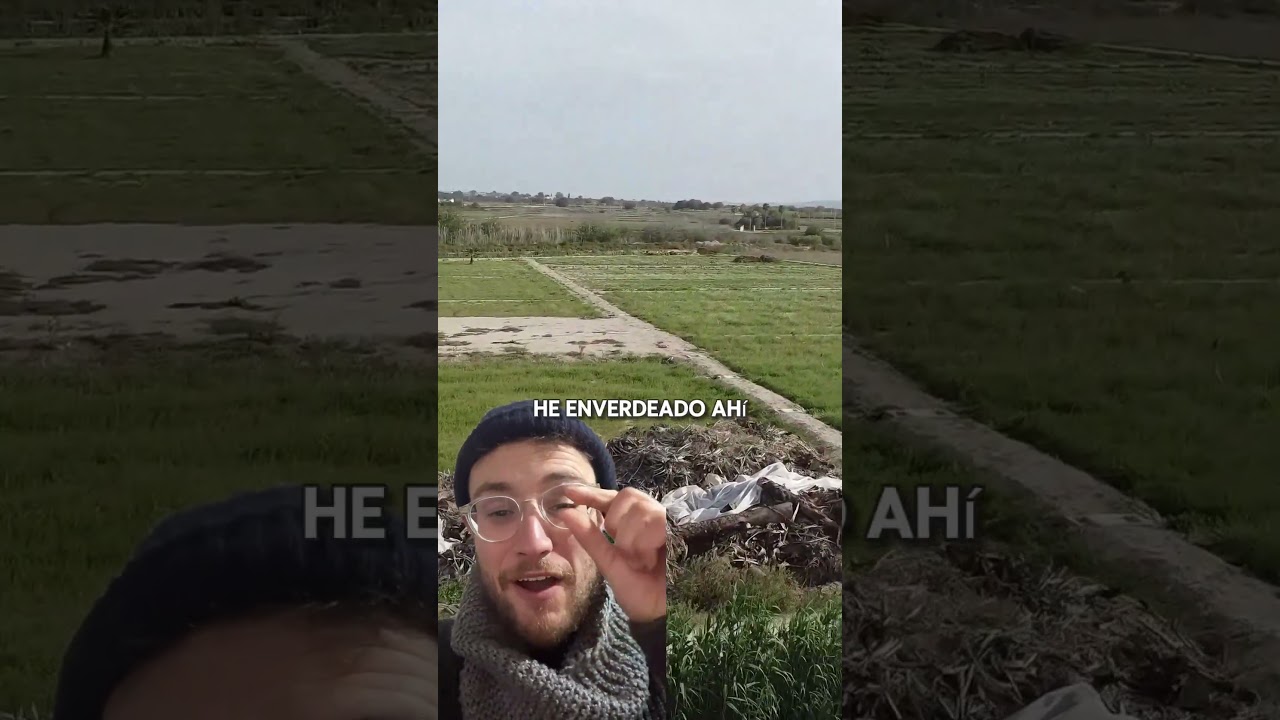 Al final no ha fallado la siembra de abono verde🌱y se vienen cositas para La Granja 😍