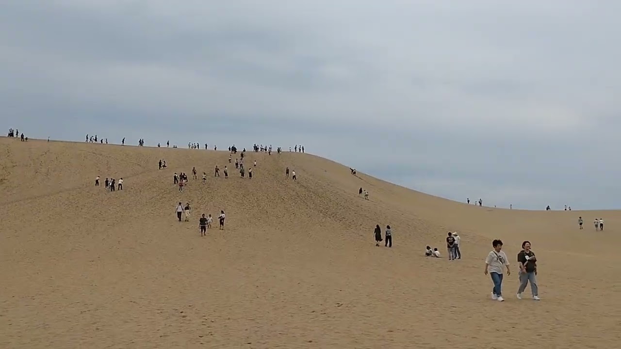 鳥取砂丘5分20250915