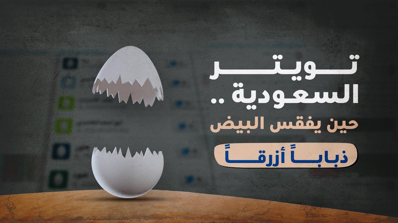 الذباب الإلكتروني .. سلاح يقتل دون موت