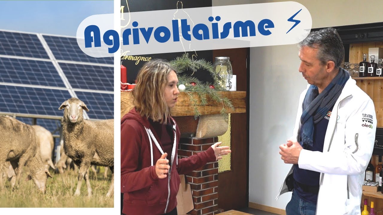Un projet d'Agrivoltaïsme qui permet l'installation !
