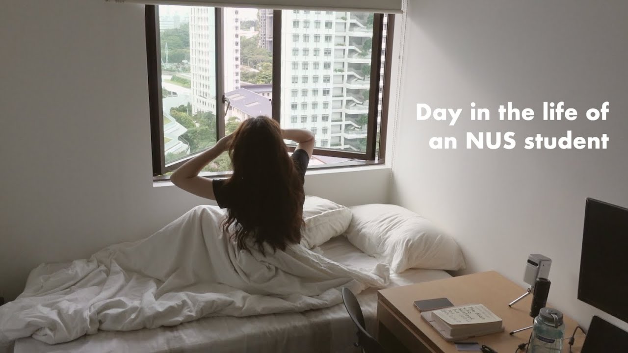 День из жизни студента НУС | День открытых дверей НУС 2022