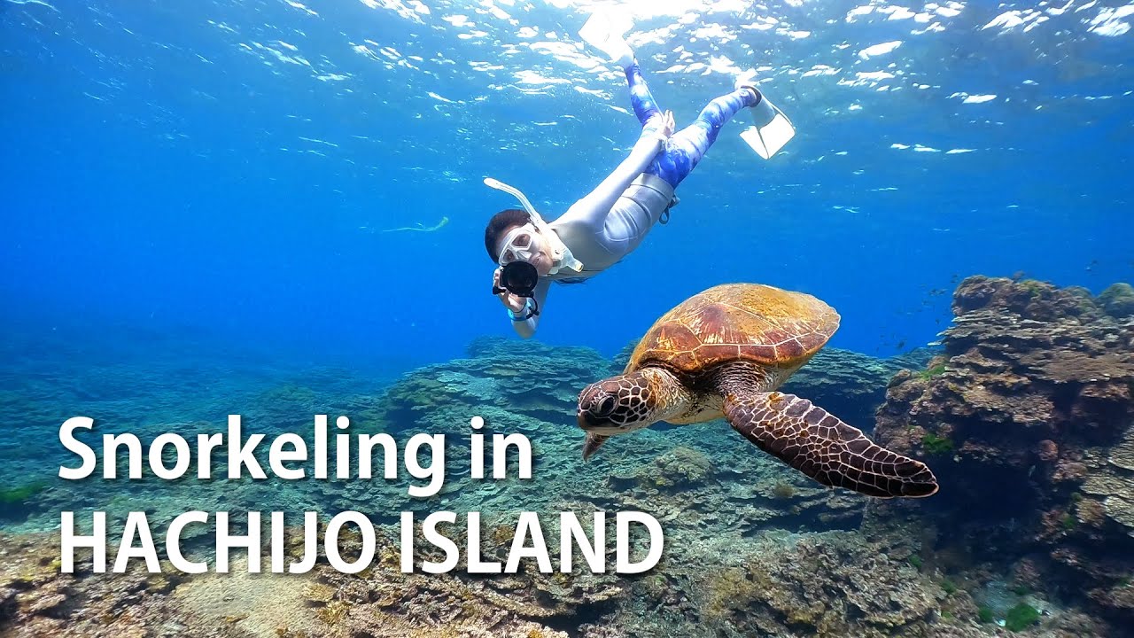 Snorkeling & Freediving in Hachijo Island, Japan｜八丈島でダイビング