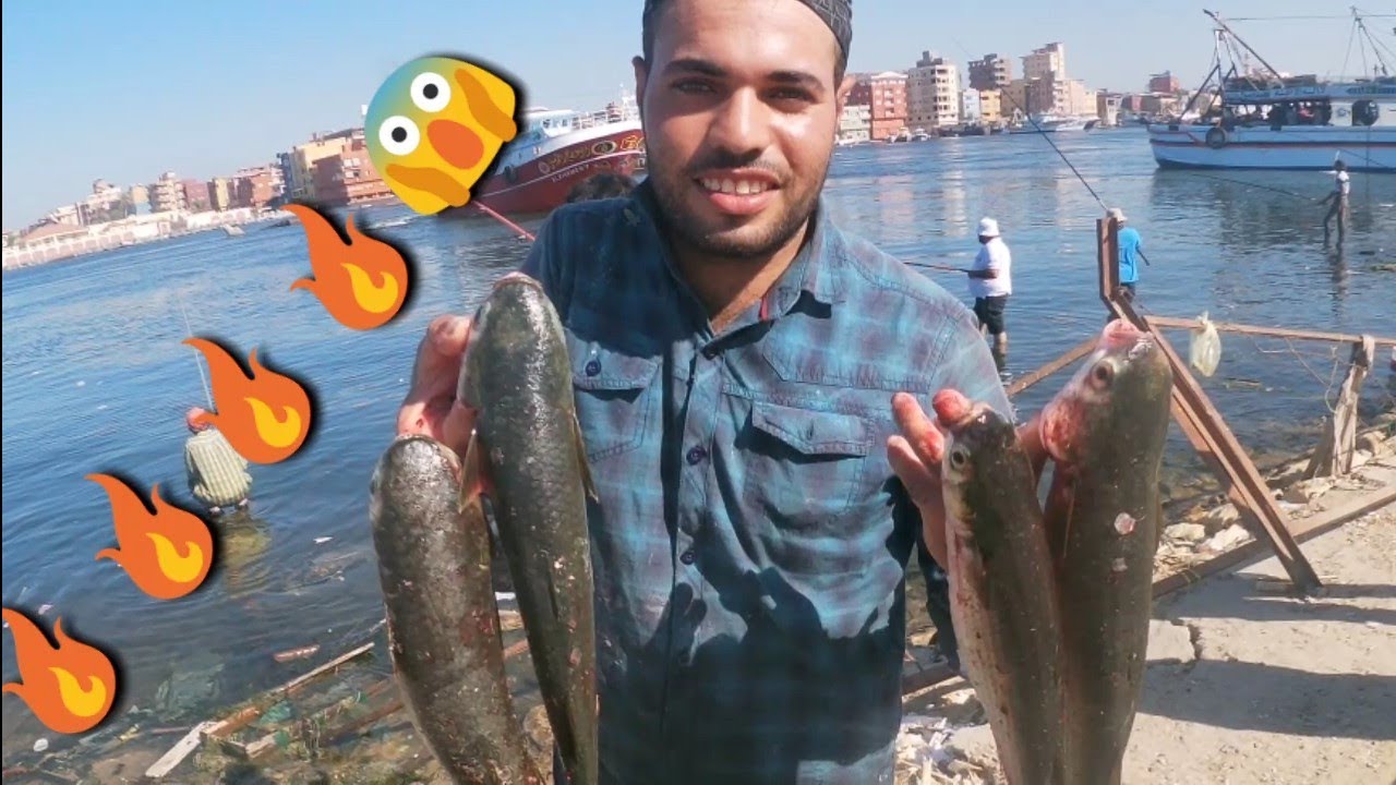 يا جماعه السمك البوري فى راس البر من كتروا معدناش ملاحقين نطلعه الناس اللى عاوزه تصتاد فين  تساعدني