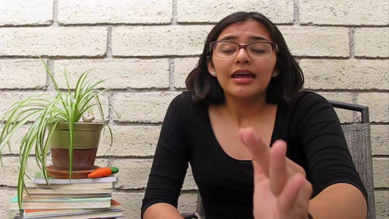 Análisis literario de Carta a una señorita en París