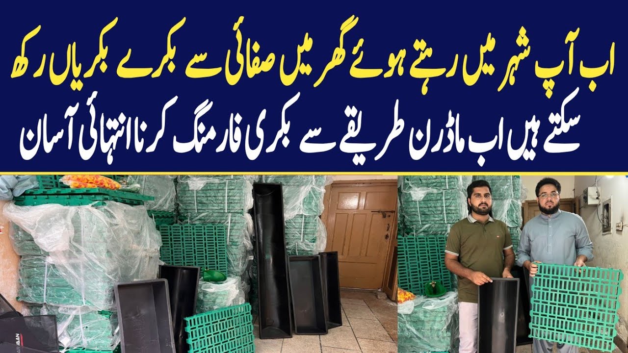 Plastic Slatted Floor for Goats Sheep I Modern Goat Farm Products I Auto Drinker for Goats|AsimFaiz