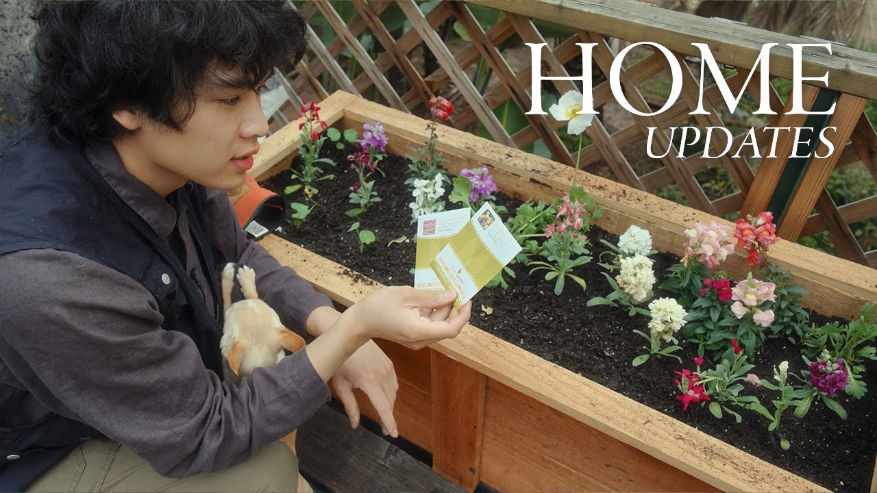 Home Updates | Balcony garden, outdoor space, flowers & veggies