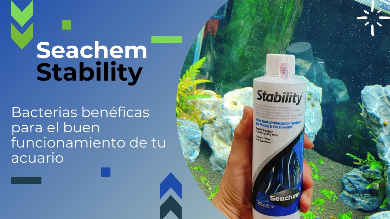 Que es? - Seachem Stability - Lo mejor para ciclar tu acuario