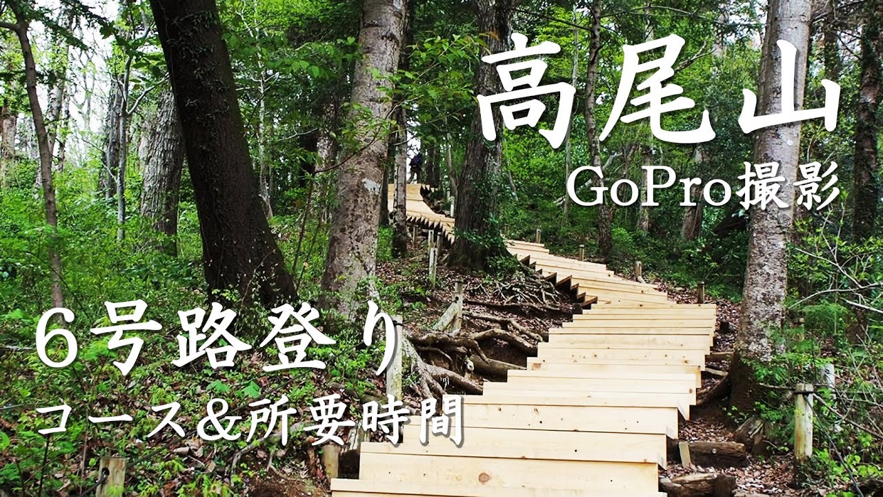 【登山】高尾山6号路コース動画と初心者(私)の所要時間！飛び石で川を歩き、階段を登る「森と水」ルート。車のアクセス、安いおすすめ駐車場情報も！Mt.Takao