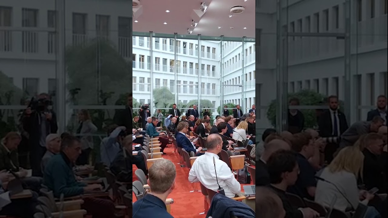 AfD-E-Mails im Internet ver&ouml;ffentlicht