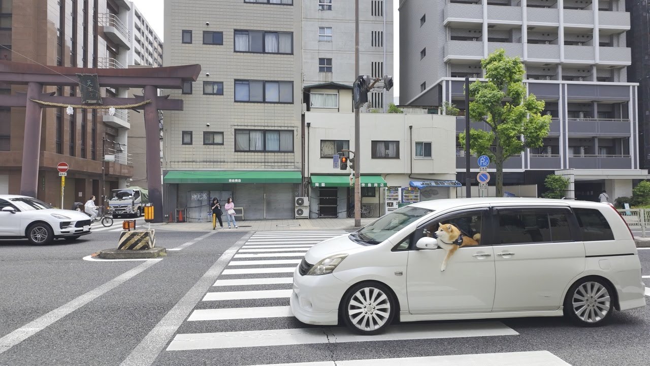 [4K HDR] Osaka walk From Kitahama Station to the Shrine - Japan