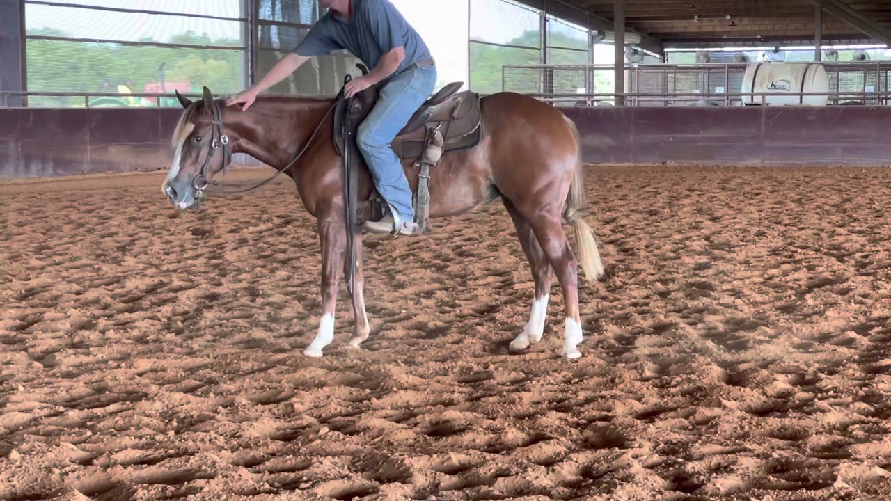 2 yo Woody Be Tuff filly