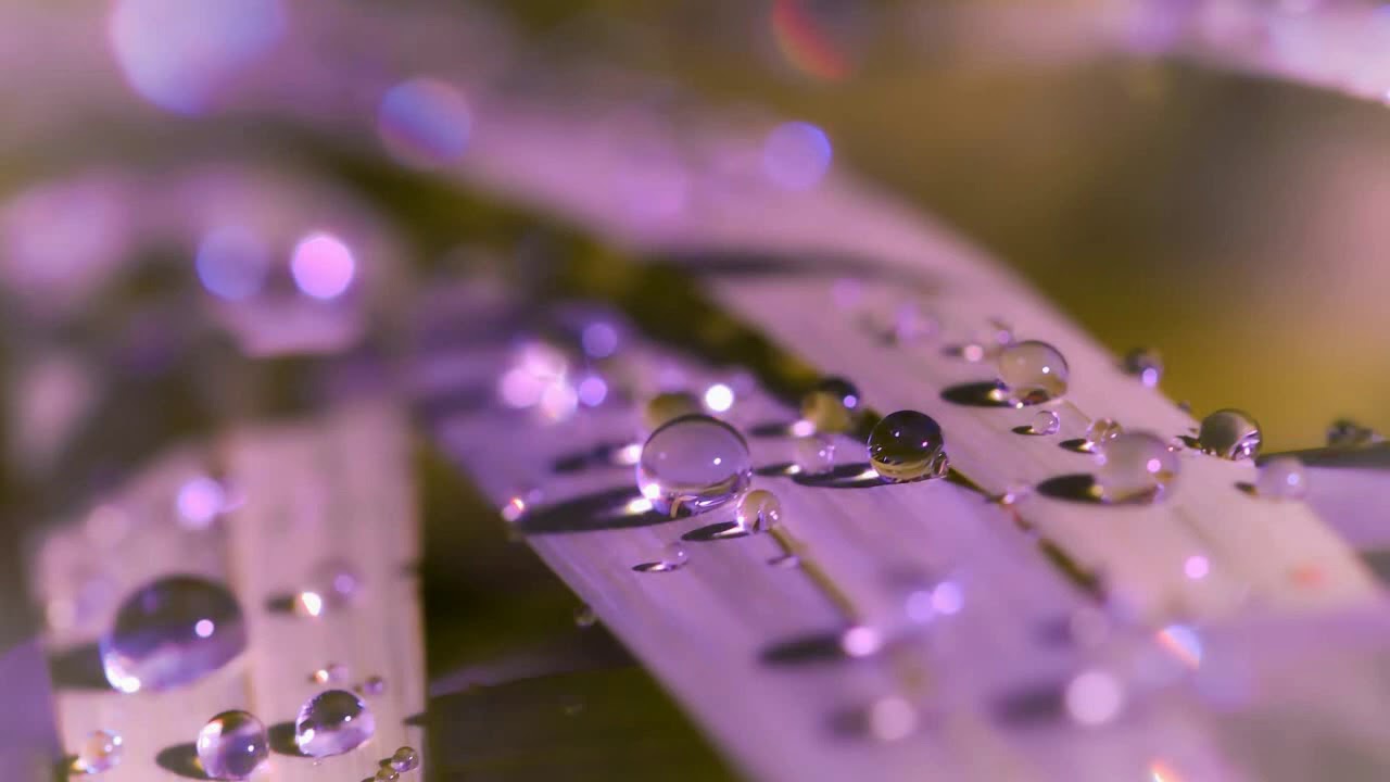 Melodic Progressive House mix Vol 64 (Sparkle In The Rain)