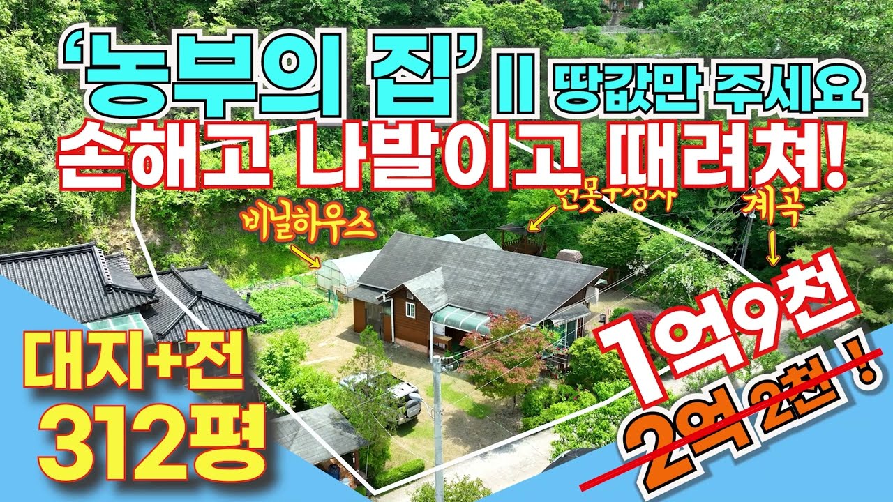 (급매 322) 재업 손해고 나발이고 때려 칠랍니다 #가평전원주택급매 #전원주택급매 #가평토지급매