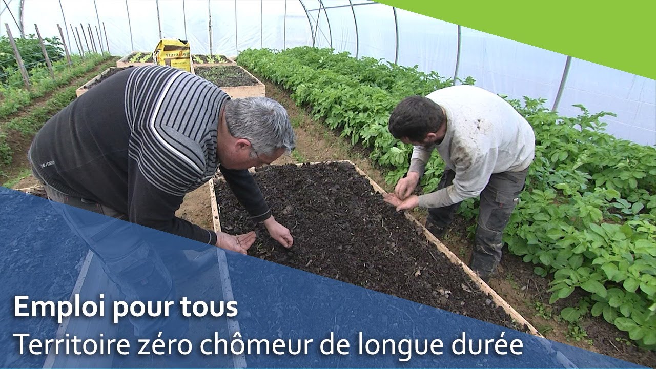 Territoire Zéro Chômeur de longue durée